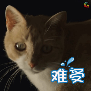 大揭秘！绘家青年公寓是如何帮助业主实现“躺着赚钱”的？？？(图1)