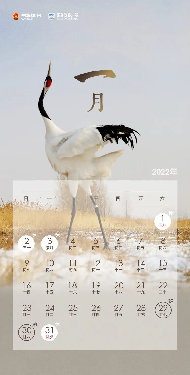 放假通知！(图1)