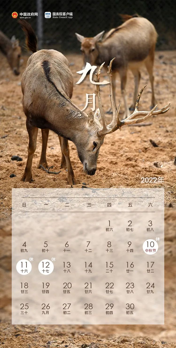 放假通知！(图9)