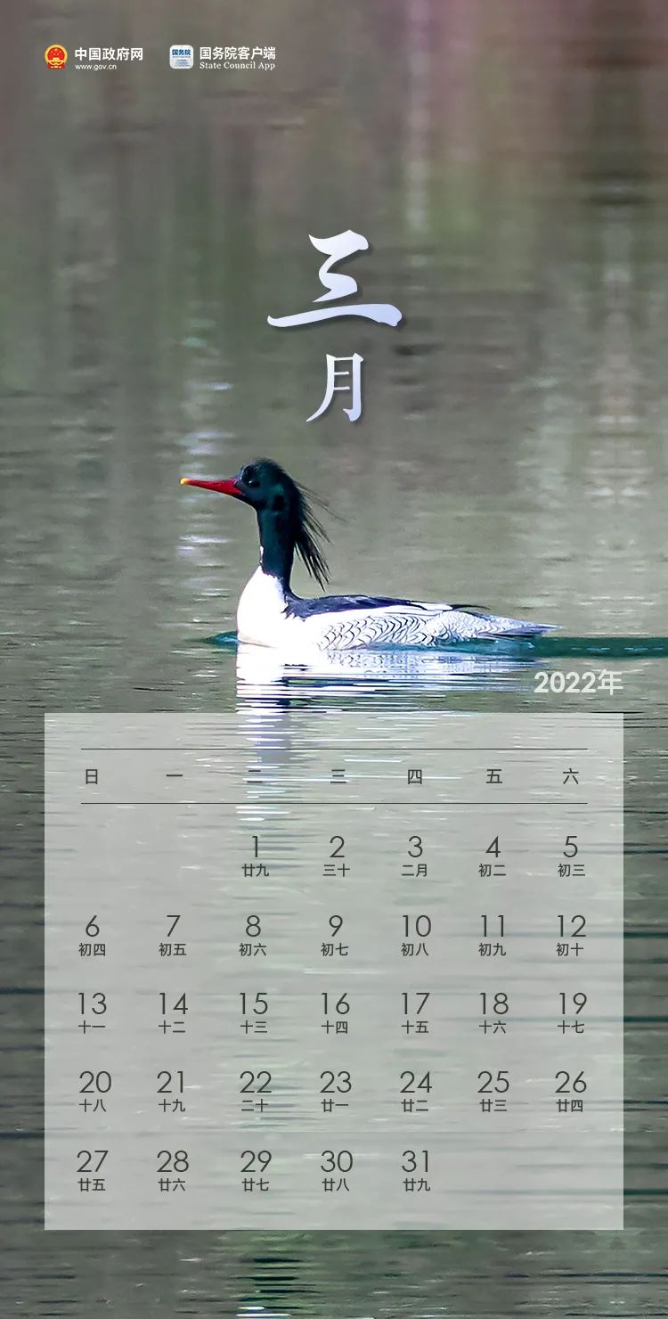 放假通知！(图3)