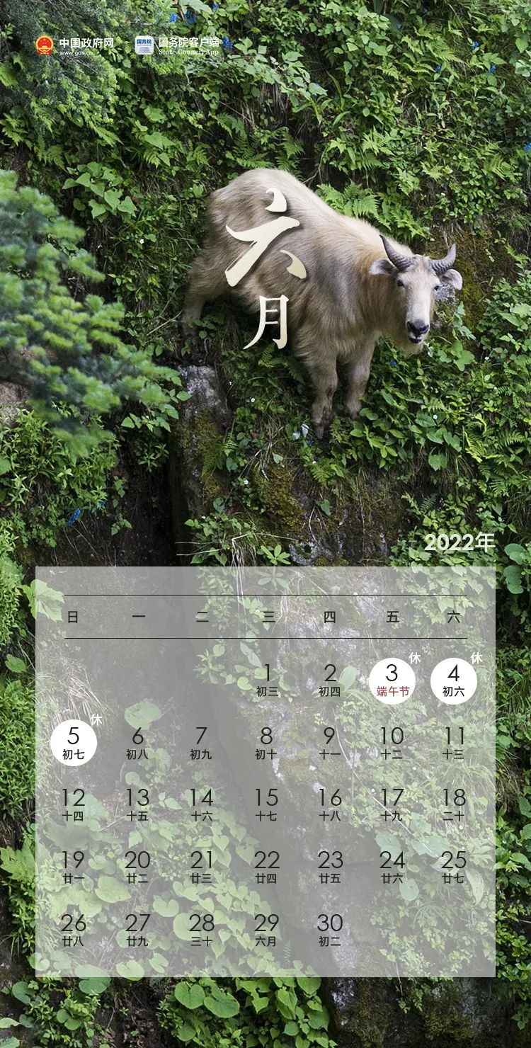 放假通知！(图6)