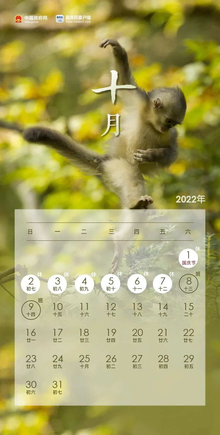 放假通知！(图10)