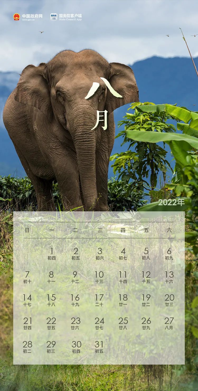 放假通知！(图8)