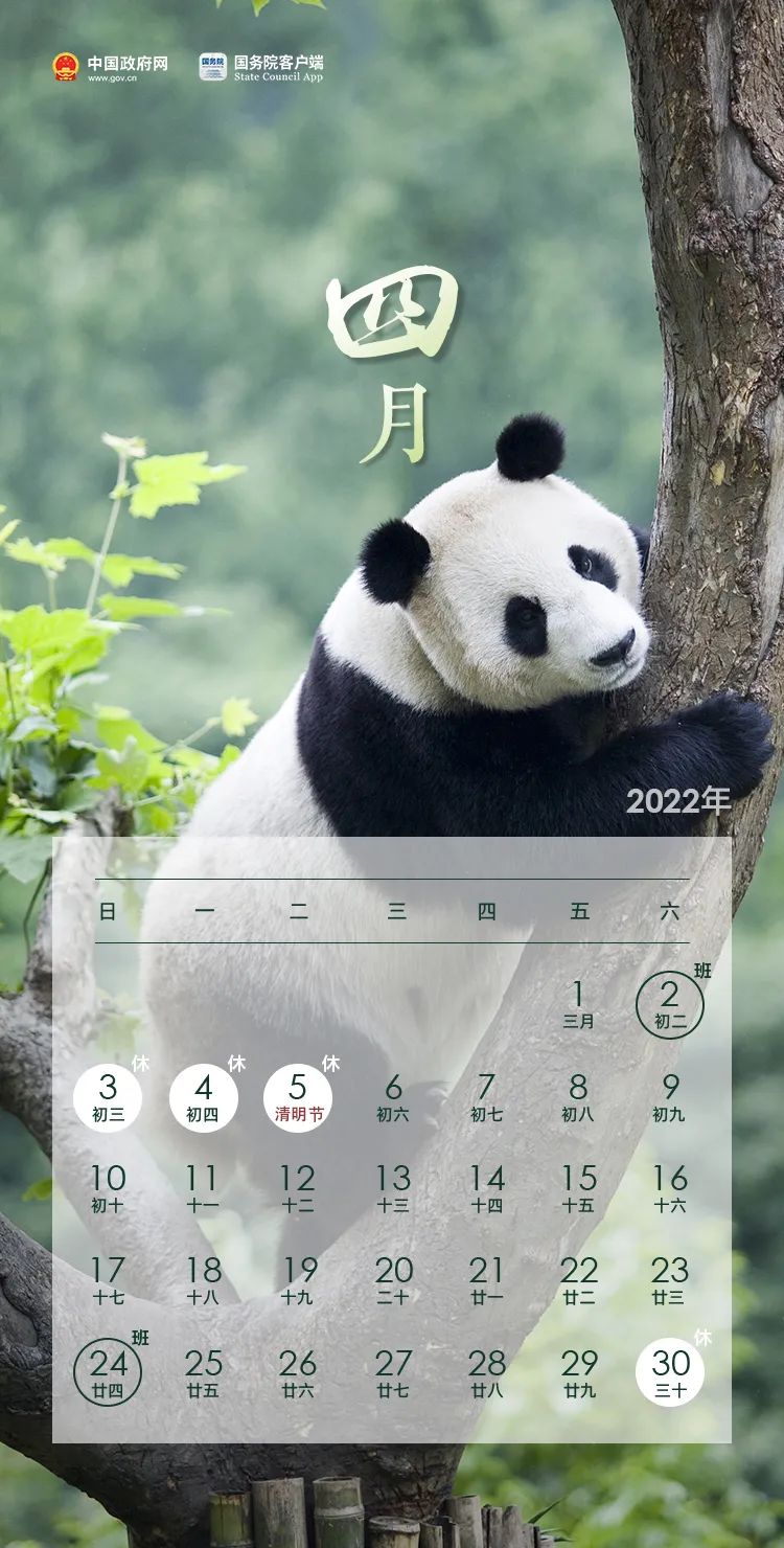 放假通知！(图4)