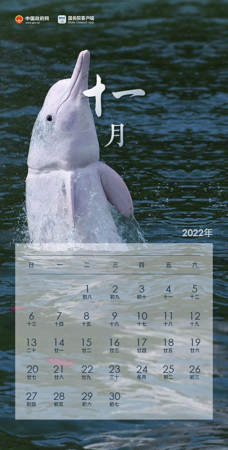 放假通知！(图11)