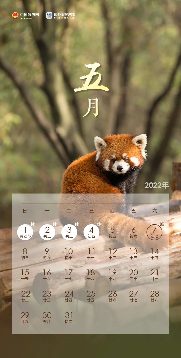 放假通知！(图5)