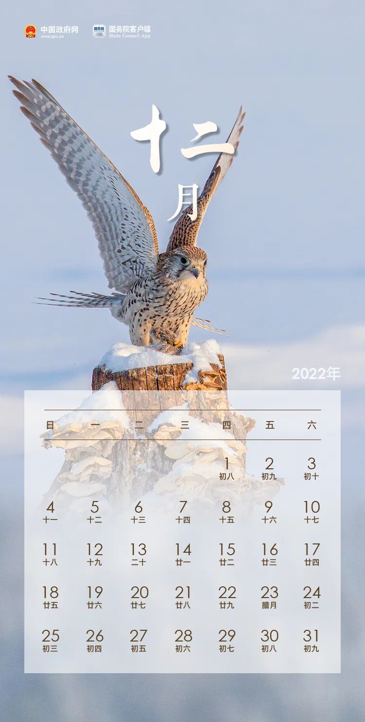 放假通知！(图12)