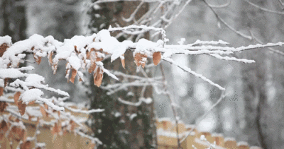 最低-2℃！冷空气发货！阵风8级+降温+雨雪来了……(图1)