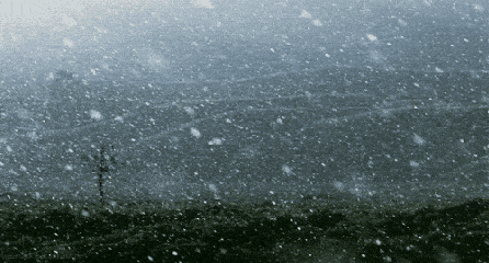 7.gif