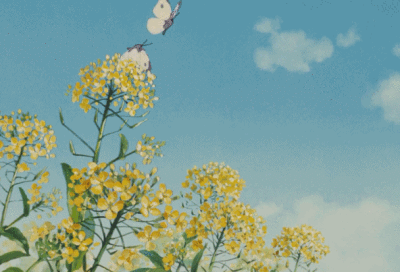 1.gif