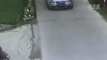 2.gif