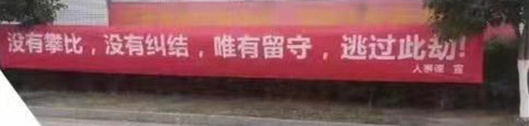 就地过年丨是否被逼婚？是否被相亲？何以解忧？唯有留守！(图10)