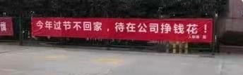 就地过年丨是否被逼婚？是否被相亲？何以解忧？唯有留守！(图8)