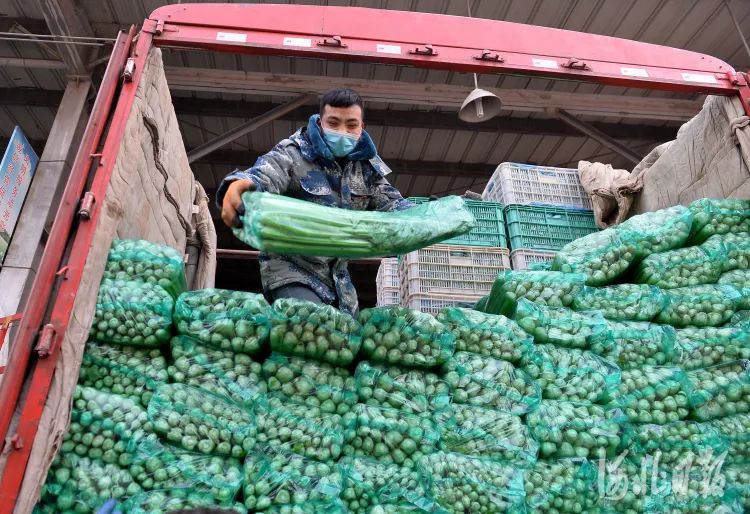 这是河北人的1月日历，真不容易，真了不起！(图59)