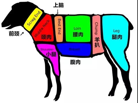 二十六 炖大肉丨今天终于知道猪牛羊不同部位的肉有不同的吃法 绘家青年公寓
