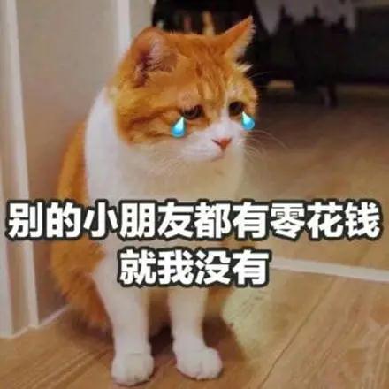 休休休休休！今年五一劳动节， 连放5天假！庄里人能出去浪吗？(图9)