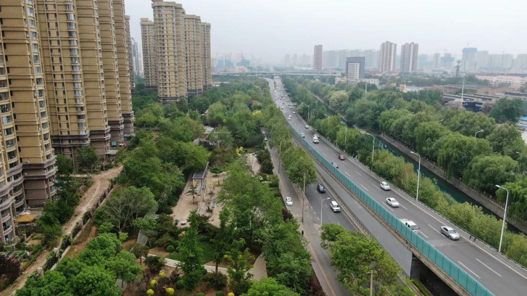 打卡去！石家庄4座特色游园崭新开放(图4)