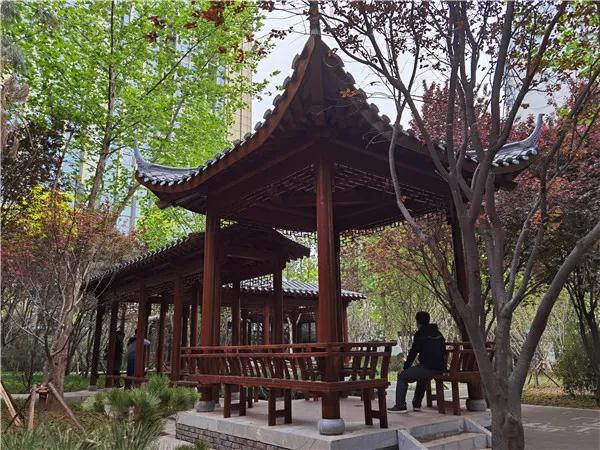 打卡去！石家庄4座特色游园崭新开放(图6)