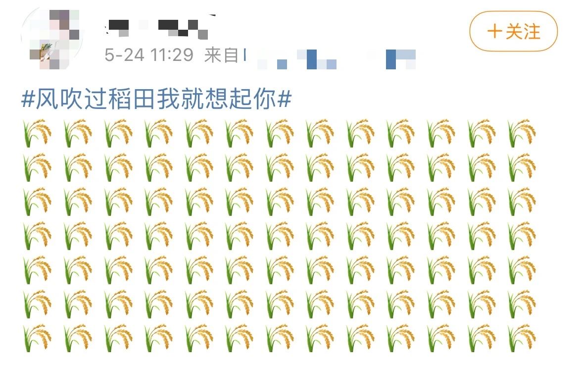 今日送别袁老！日后每一缕升起的炊烟，都是飘自人间的怀念(图14)
