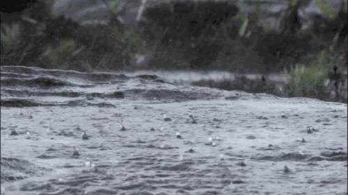 中到大雨→暴雨→大暴雨！大范围降雨到河北！提前储备好物资！(图6)