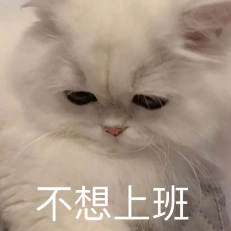放假通知！(图1)
