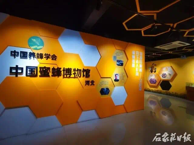 绘家每日资讯 ▏石家庄住房公积金管理中心桥西管理部搬迁！新址在这儿！(图10)