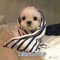 石家庄供热最新通知：10月底前具备随时供热条件(图1)